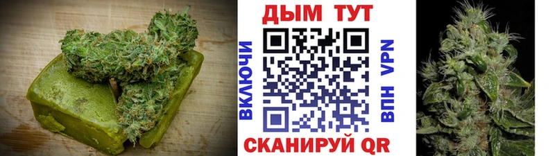 купить  сайты  shop официальный сайт  Cannafood конопля  Андреаполь 