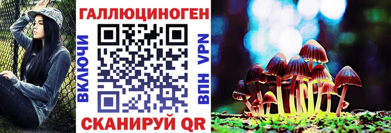 закладка  Андреаполь  Псилоцибиновые грибы GOLDEN TEACHER 